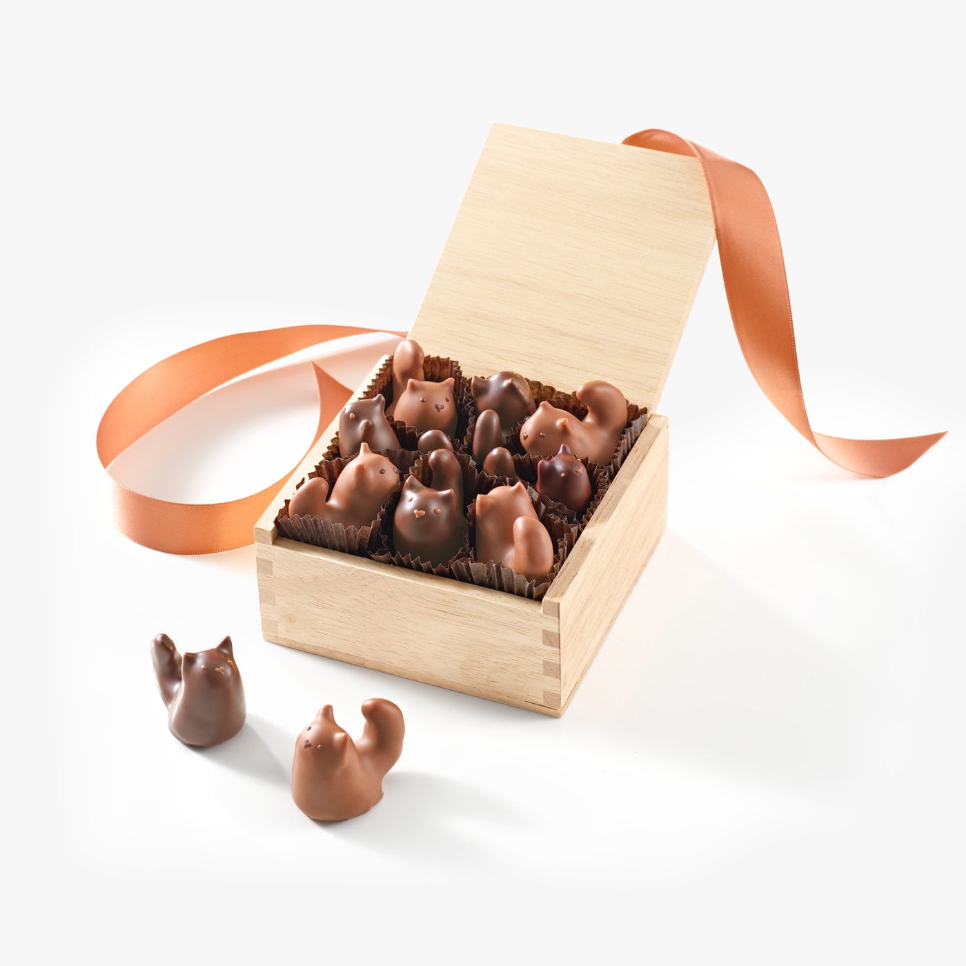 Chocolate cats nestled together in our signature wooden box